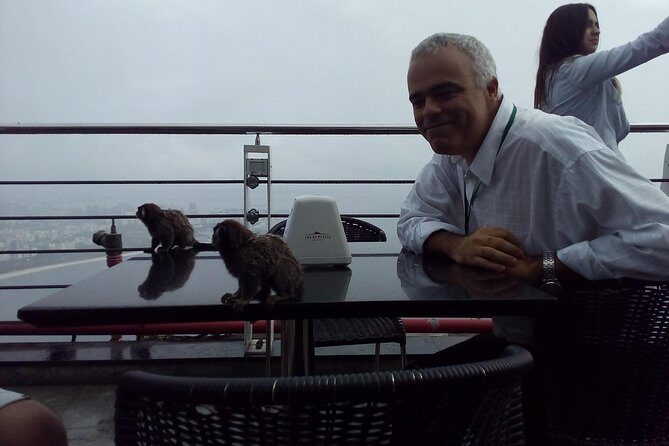 Private Half Day Tour to Christ the Redeemer and Sugarloaf - Why Travelers Love This Tour