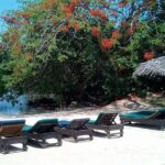Private Half Moon Beach Tour from Montego Bay - Exploring the Half Moon Private Beach Tour