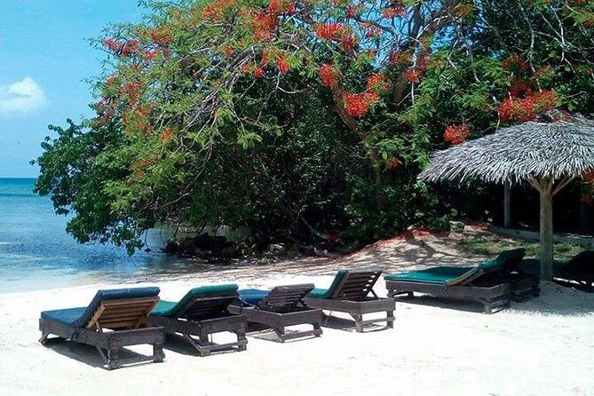 Private Half Moon Beach Tour from Montego Bay - Exploring the Half Moon Private Beach Tour