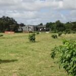 Private Hampden Estate Rum Trip from Montego Bay - Frequently Asked Questions