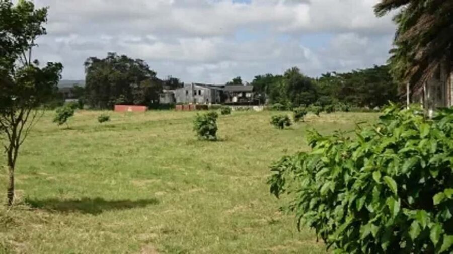 Private Hampden Estate Rum Trip from Montego Bay - Frequently Asked Questions