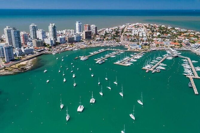 Private Have It Your Way Tour in Punta Del Este - Why This Tour Provides Great Value