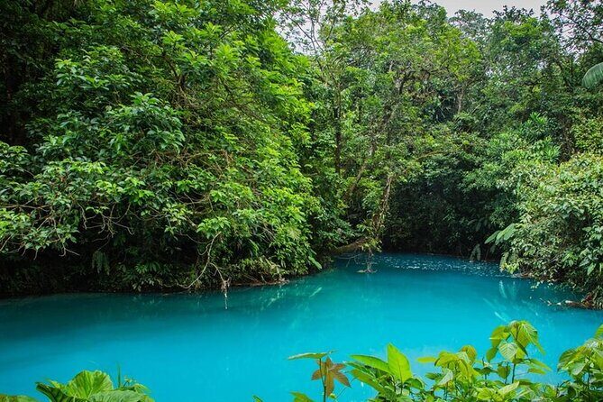 Private Hiking Adventure With Waterfall and Hot Springs - Who Would Love This Tour?