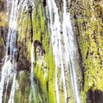 Private Hiking to Salto el Limon with a Local expert Guide from Samana - The Authenticity and Atmosphere