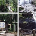 Private Hiking Tour to Tijuca Peak - Tijuca National Park - by OIR Aventura - Final Thoughts