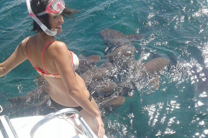 Private Hol Chan Morning or Sunset Half Day Charter - Who Should Book This Tour?