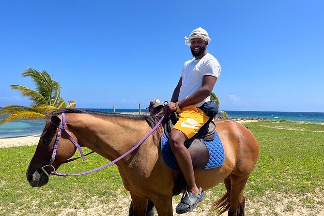 Private Horseback Ride and Swim from Montego Bay - Transportation and Logistics