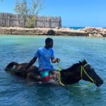 Private Horseback ride and swim in Montego Bay - A Deep Dive into the Horseback Ride and Swim Tour in Montego Bay