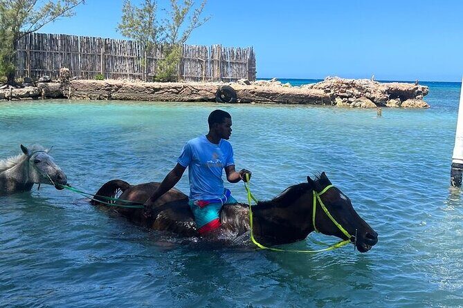 Private Horseback ride and swim in Montego Bay - A Deep Dive into the Horseback Ride and Swim Tour in Montego Bay