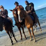 Private Horseback Riding And Ricks Cafe Tour. - FAQ