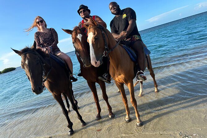 Private Horseback Riding And Ricks Cafe Tour. - FAQ