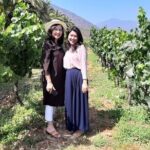 Private Horseback riding and wines from Santiago - The Authentic Experience: What Travelers Are Saying