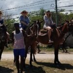 Private Horseback Riding from Ocho Rios with Guide - Who Should Consider This Tour?