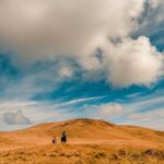 Private Horseback Riding on Easter Island - Price and Value Analysis