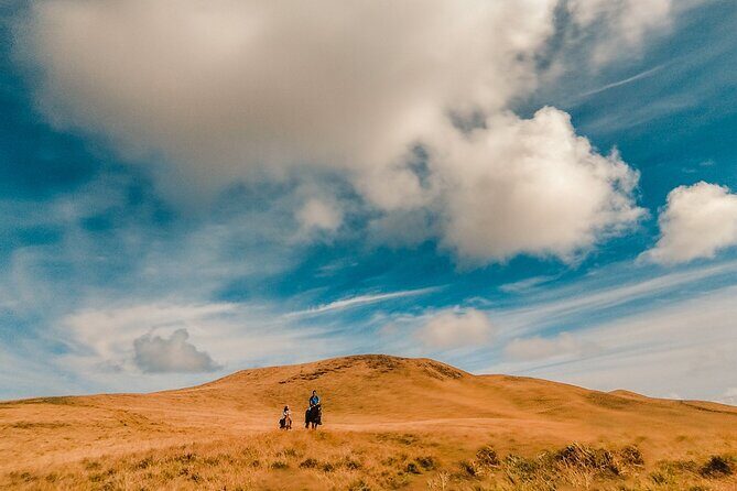 Private Horseback Riding on Easter Island - Price and Value Analysis