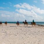 Private Horseback Riding On The Beach - Key Points