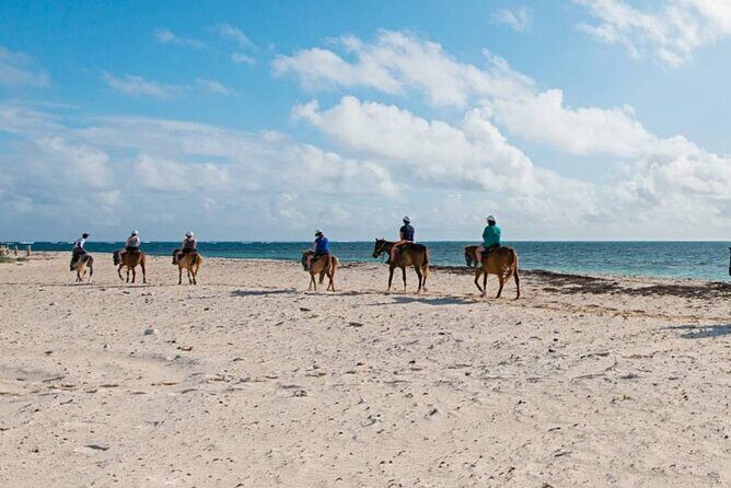 Private Horseback Riding On The Beach - Key Points