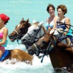 Private Horseback Riding, Swimming and Blue Hole Falls Tour - Practical Details and What You Need to Know