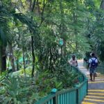 Private Horseback Riding, Swimming and Dunn's River Falls Tour - How the Tour Flows