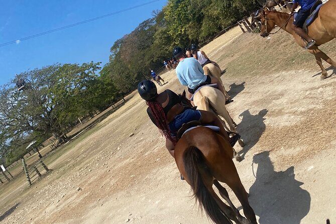 Private Horseback Riding with Blue Hole River Tour in Montego Bay - Authentic Experiences and Practical Details