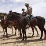 Private Horseback Tour in Playa Conchal - Who Should Consider This Tour?
