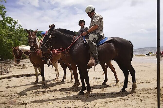 Private Horseback Tour in Playa Conchal - Who Should Consider This Tour?