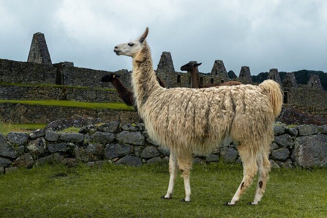 Private Inca Trail Hike to Machu Picchu 5 Days 4 Nights - Authentic Experiences & Authentic Support