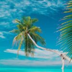 Private: Isla Saona VIP Escape Luxury Beach & Speedboat Tour - An In-Depth Look at the Experience