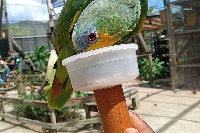 Private Island Tour in St. Maarten - What Makes This Tour Stand Out?