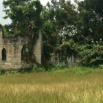Private Jamaica West Heritage Sightseeing Tour - Why This Tour Is a Great Choice