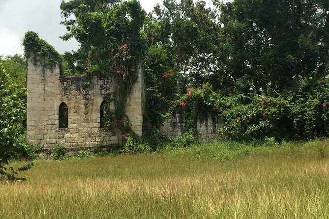 Private Jamaica West Heritage Sightseeing Tour - Why This Tour Is a Great Choice