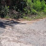 Private Jamrock Herbal Trek at Discovery Bay Jamaica - Exploring the Details of the Herbal Trek