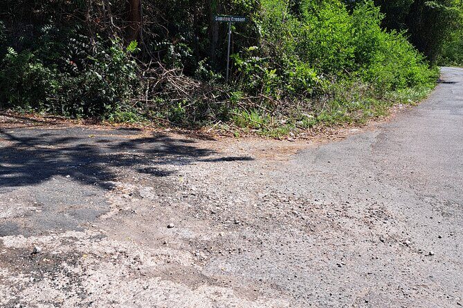 Private Jamrock Herbal Trek at Discovery Bay Jamaica - Exploring the Details of the Herbal Trek