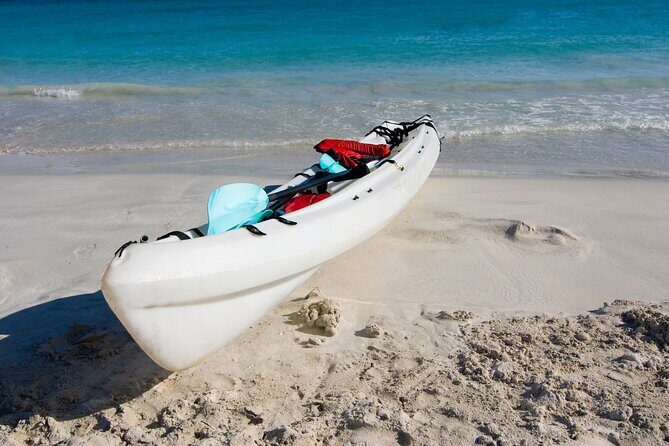 Private Kayak Tour in Puerto Rico - A Deep Dive into the Puerto Rican Kayak Adventure