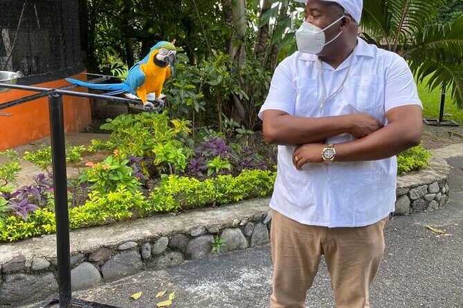 Private Konoko Falls and Dunn's River Combo Tour from Ocho Rios - Exploring the Details: What You Can Expect from This Tour