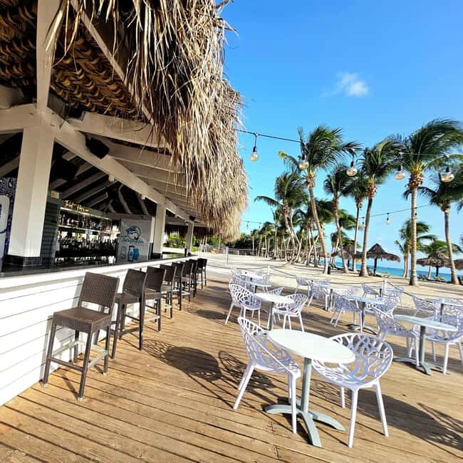 Private: La Romana, Catalina Island Snorkeling & Beach Trip - In-Depth Review: Why This Tour Works