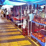 Private Limon Shore Excursion: Tortuguero Canals Tour - The Authenticity of Costa Rica’s Nature and Culture