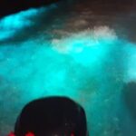 Private Luminous Blue Lagoon Night Tour in Falmouth - Practical Details: What to Expect and What to Bring