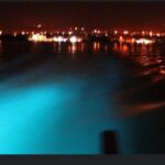 Private Luminous Lagoon Night Cruise from Montego Bay - Final Thoughts: Is It Worth It?