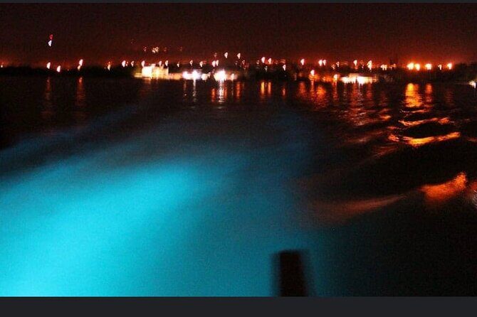 Private Luminous Lagoon Night Cruise from Montego Bay - Final Thoughts: Is It Worth It?