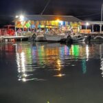 Private Luminous Lagoon Tour from Montego bay - Exploring the Luminous Lagoon Experience in Detail