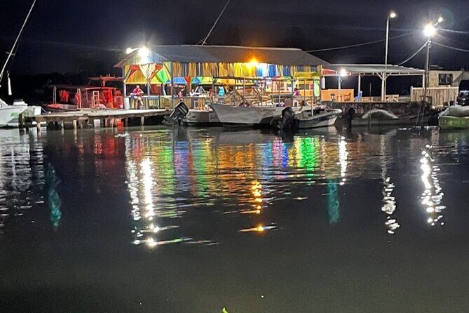 Private Luminous Lagoon Tour from Montego bay - Exploring the Luminous Lagoon Experience in Detail