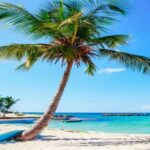 Private: Lunch on a Catamaran Cruise Around Catalina Island - Setting Sail: What to Expect from the Tour