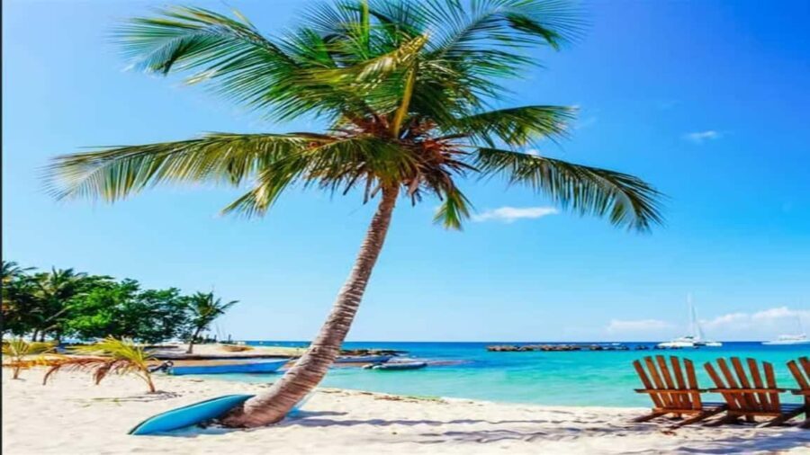 Private: Lunch on a Catamaran Cruise Around Catalina Island - Setting Sail: What to Expect from the Tour