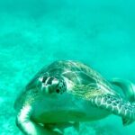 Private Luxury Catamaran Half Day Charter - A Deep Dive into the Experience