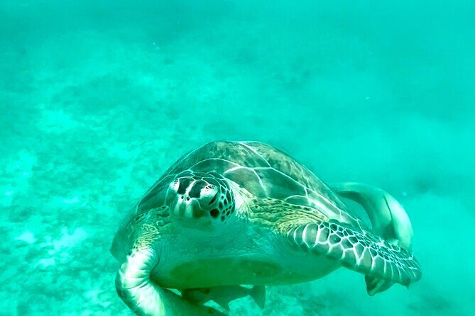 Private Luxury Catamaran Half Day Charter - A Deep Dive into the Experience