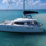 Private Luxury Catamaran Tour to Stingray City and Snorkel - The Stingray City Encounter