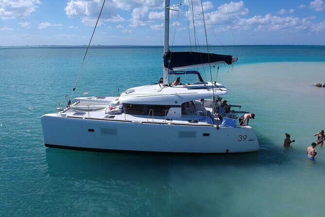 Private Luxury Catamaran Tour to Stingray City and Snorkel - The Stingray City Encounter