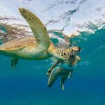 Private Luxury Charter Aboard New Multi-Deck Lagoon Catamaran - What We Love & What to Consider