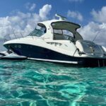 Private Luxury HalfDay w/Jetski Stingray City, Snorkeling & Starfish Beach Tour - Who Would Love This Tour?